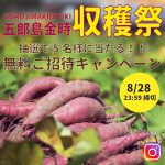 インスタ用