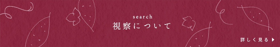 視察について