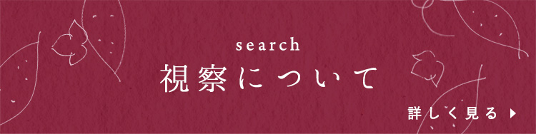 視察について